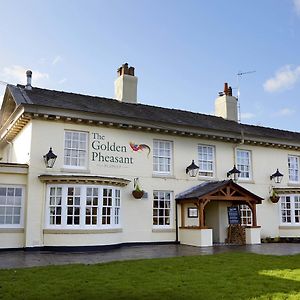 The Golden Pheasant